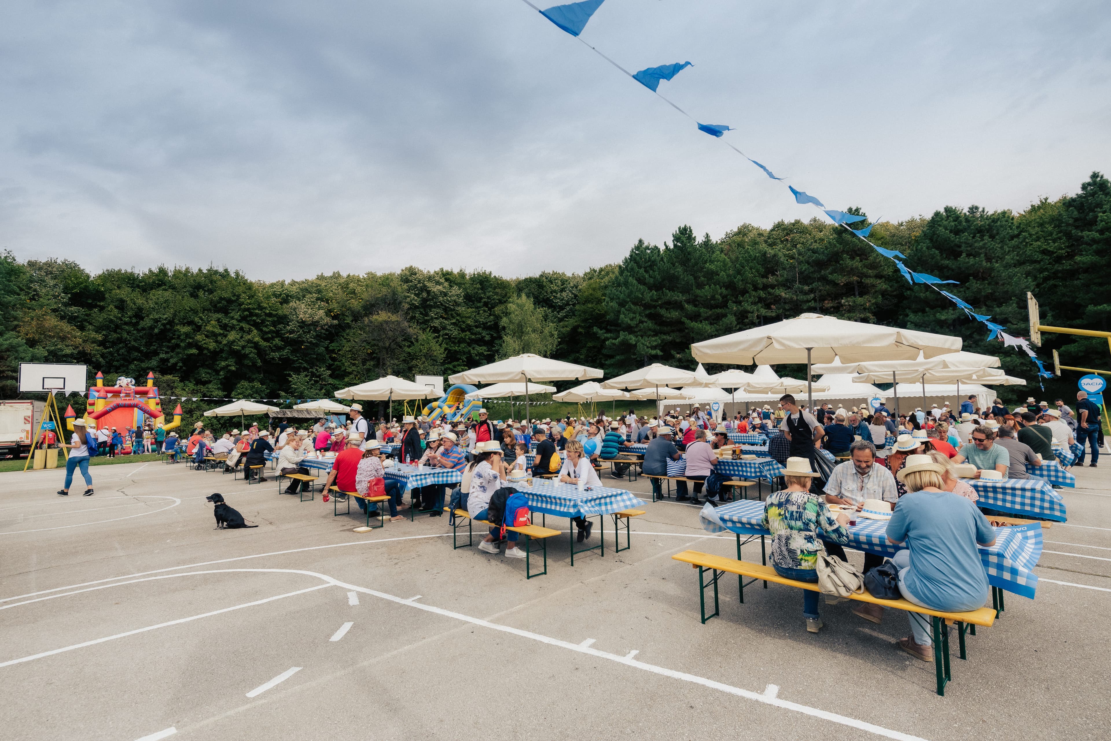 Organizacija Dacia družinskega piknika na Fruški gori v Srbiji. Organizacija zabave Paideia Events.